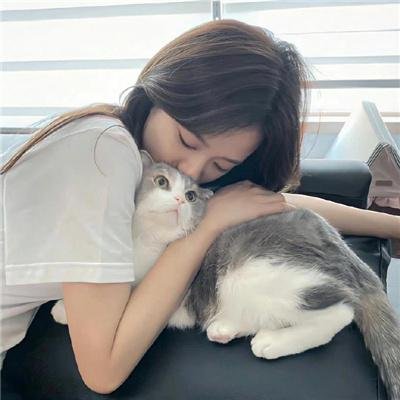 上车家族粤语
