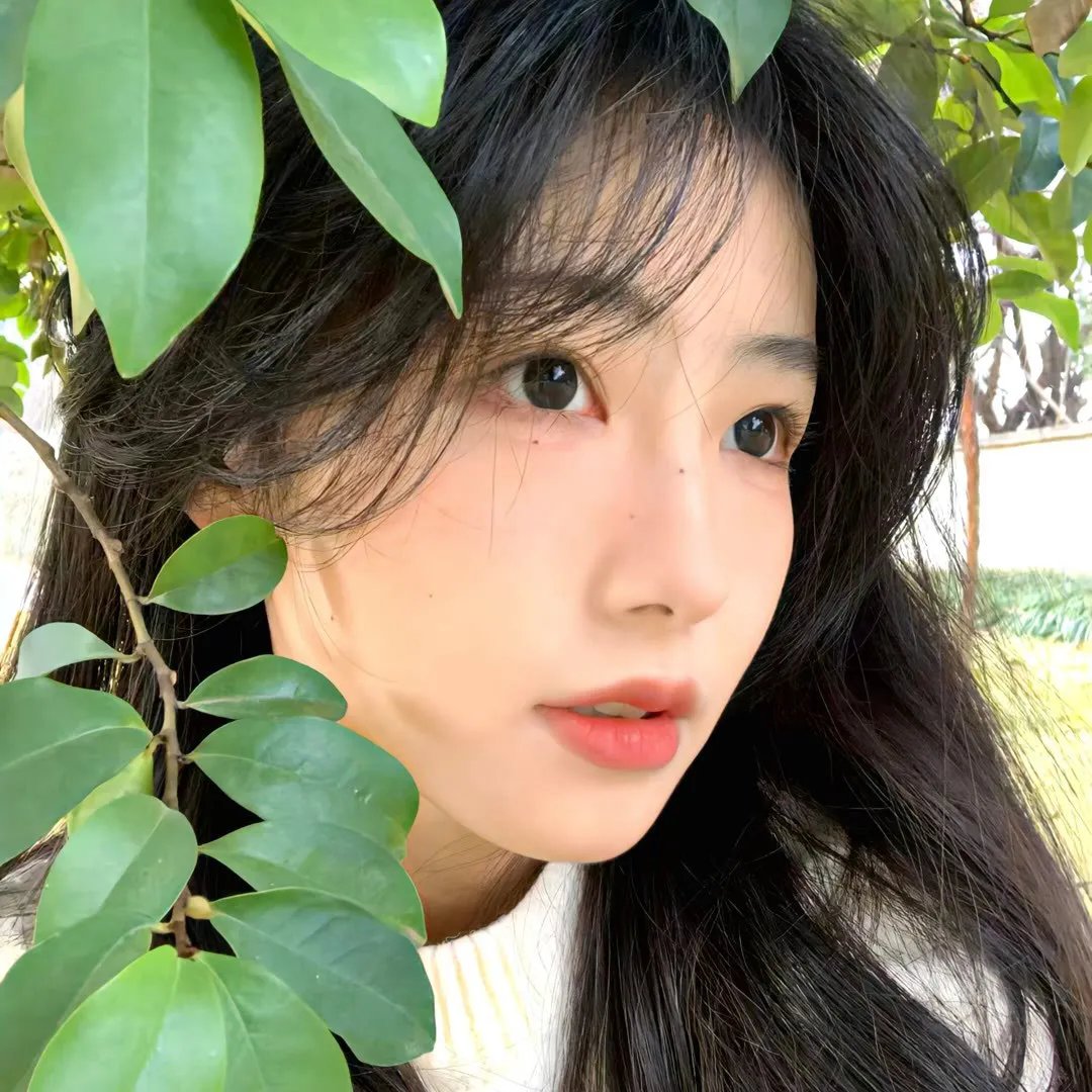 舞女大盗